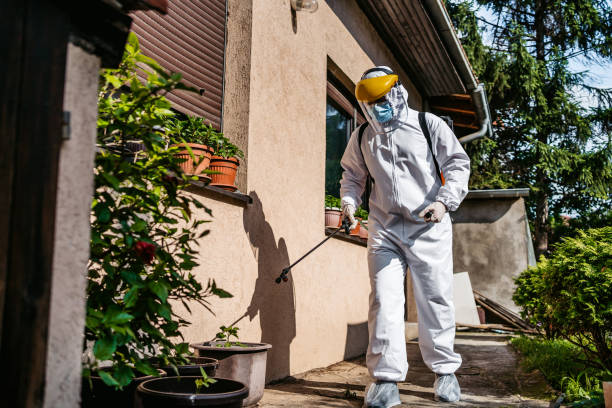 Calabasas, CA Pest Control Company